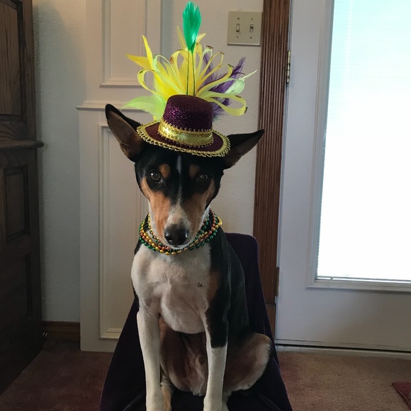 NO clowning around.... - Picture 10 of 16